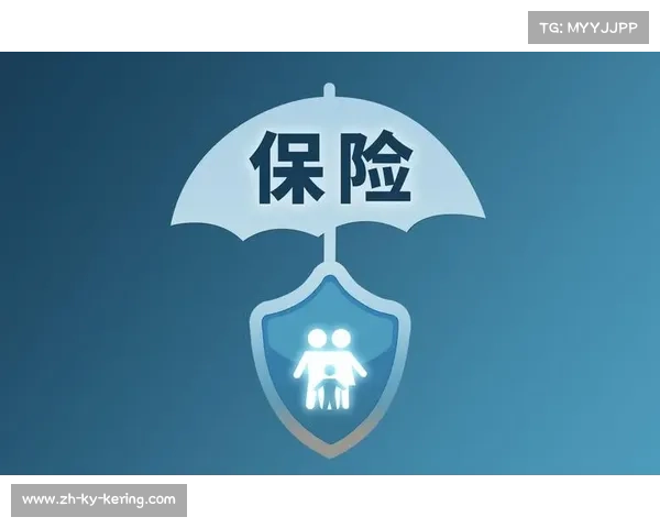 保险机制逐步完善,降低体育活动组织运营风险